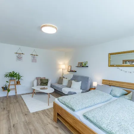 Apartment Zelezna 9