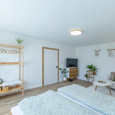 Apartment Zelezna 9 *
